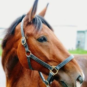 Meet your Posher, Susanne